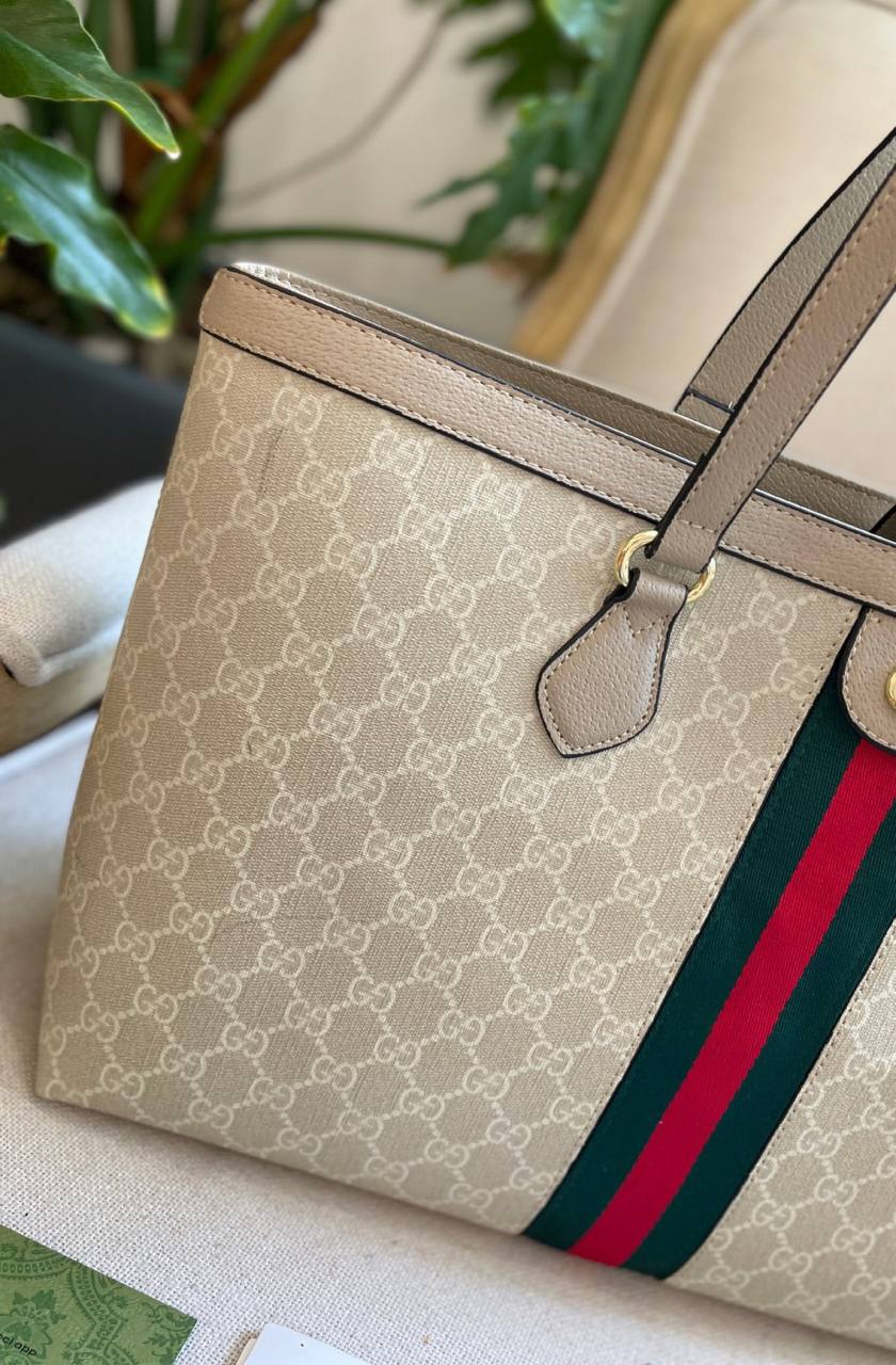 gucci bag